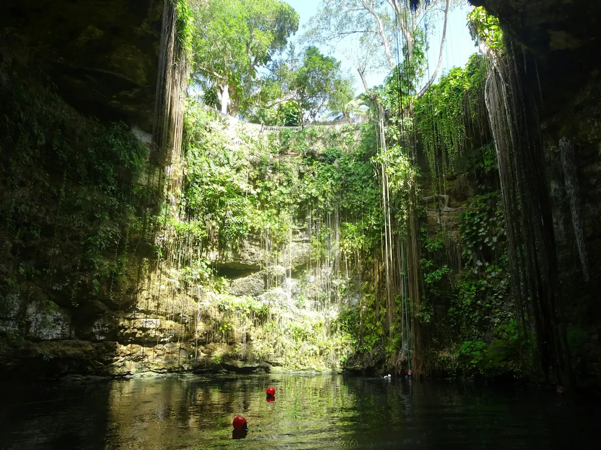 Cenote de agua cristalina rodeado de vegetación