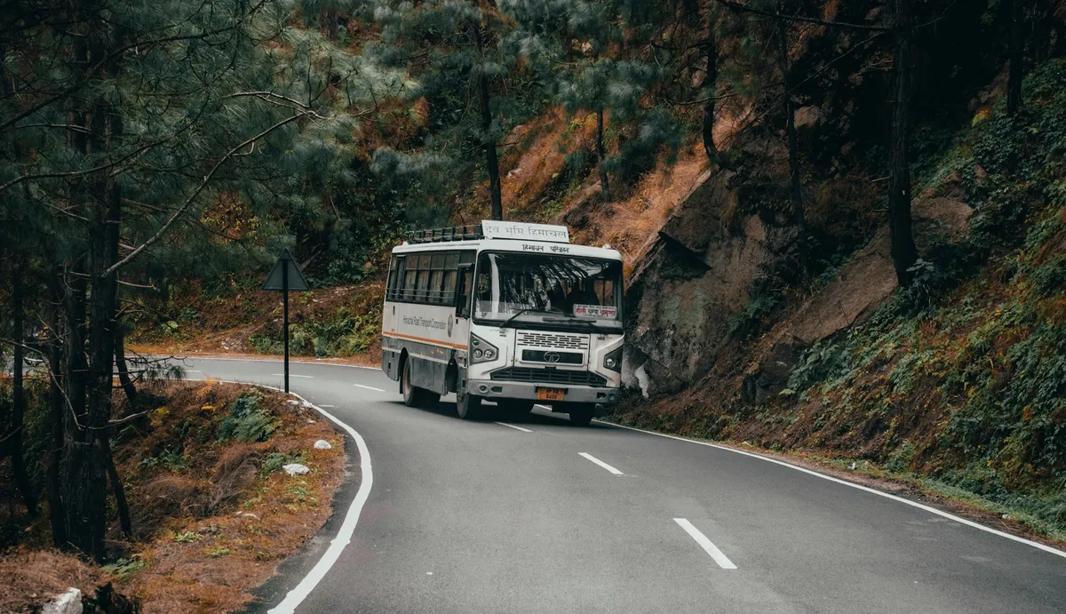 Autocar por una carretera de curvas entre árboles