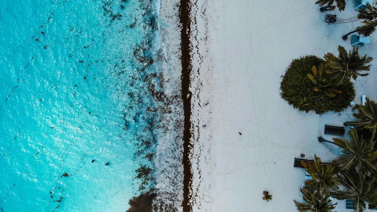 Playa caribeña con palmeras y sombrillas vista desde el aire